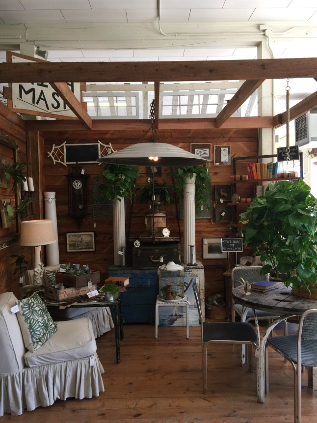 20160212_174612201_iOS